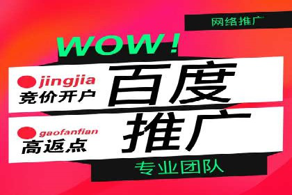 某公司SEM推广的失败教训与成功经验